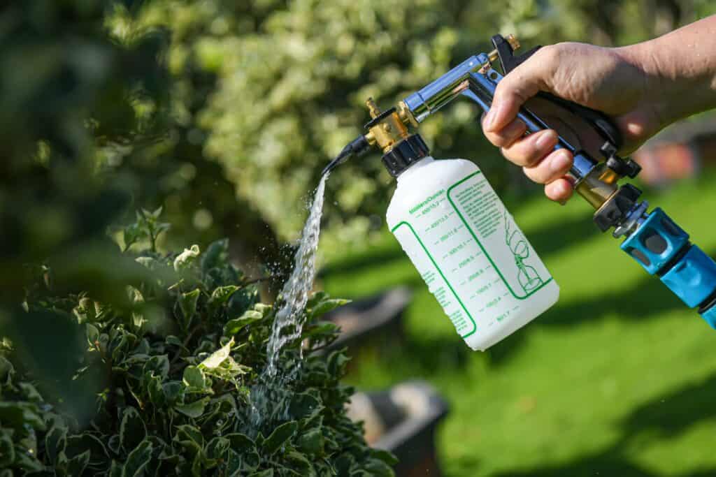 5 Tips to Gardening