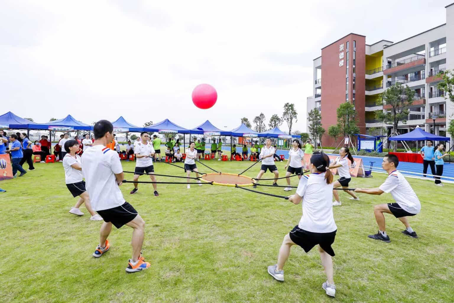 About Green Frog Garden Tools Co